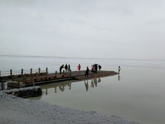 -青海茶卡盐湖文化旅游发展股份有限公司
