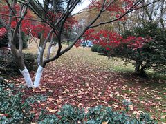 -弄堂里·寻味杭州(湖滨银泰in77C区店)