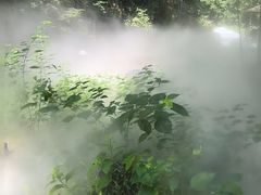 -山沟沟景区