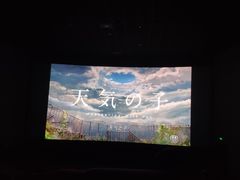 -武汉华夏国际影城(鲁广店)