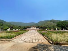 -北京十三陵国家森林公园蟒山景区