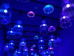 -福州罗源湾海洋世界旅游区