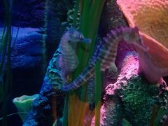 -沈阳海洋探索中心