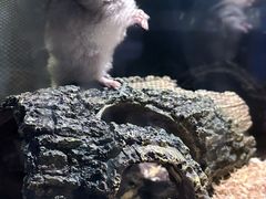 -太平洋海底世界