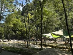 -石台牯牛降景区