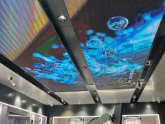 -ALIENWARE外星人(国贸商城旗舰店)