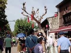 -溪口-滕头旅游景区