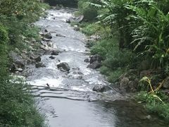-宁海森林温泉