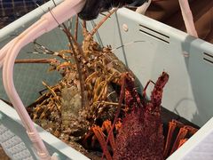 -东海怡品海鲜豆捞(星街坊店)