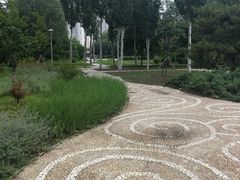 景点-望湖公园
