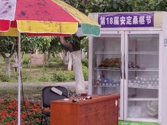 -御林古桑园