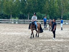 -北京群众马术培训基地