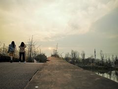 -白鹭湾湿地公园