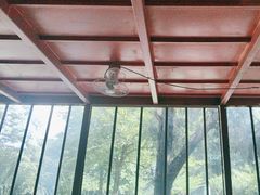 -鸡鸣汤包(红山动物园店)