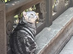 -龙华寺