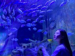 -成都浩海立方海洋公园