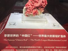 -湖南省地质博物馆
