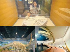 -自贡恐龙博物馆