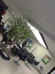 -付军剪艺JF ProSalon