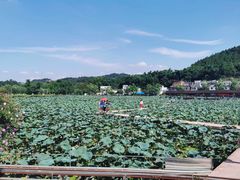 -红山村