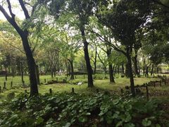 -汉拿树木园