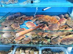-港畔赶海蒸汽海鲜烧烤自助(仙螺岛店)