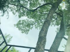 -金陵图书馆