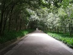 -灵谷景区