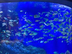 -成都浩海立方海洋公园