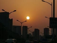 -青皮树酒店(合肥第十中学王岗路地铁站店)