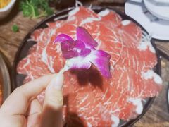 -七友美蛙鱼头火锅(坂田店)