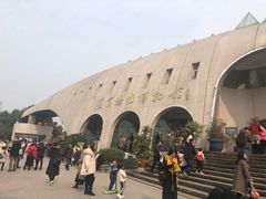 -自贡恐龙博物馆