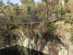 -千岛湖东南湖区