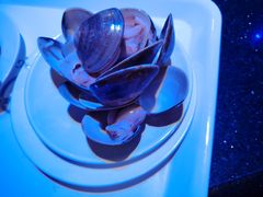 -萧邦音乐会所KTV·蒸汽活海鲜自助(福田店)