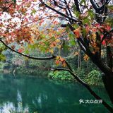 重庆3个热门景点合辑攻略