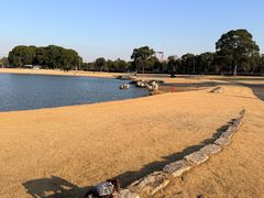 -上海月湖雕塑公园