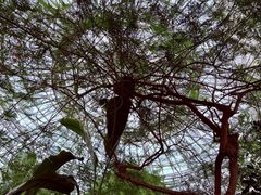 -郑州植物园