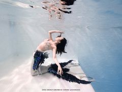 -上海潜殿潜水中心