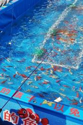 -萌宠亲子动物乐园(槐房万达店)