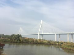 -芒洲湿地公园