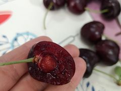 -南京众彩农副产品配送有限公司