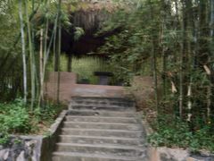 -广东茂名森林公园