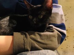 -BE NORMAL CAFE(霞溪路店)