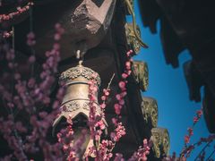 -慧因高丽寺
