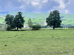 -新疆那拉提国家旅游度假区