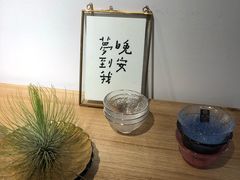 -猫里有甜