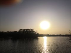 -大兴滨河森林公园