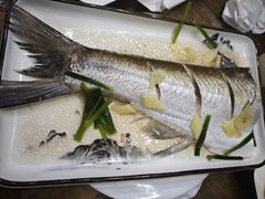 清蒸白鱼-观桥阁(锦溪店)