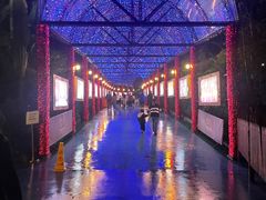 -广州长隆国际大马戏