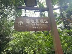 -呀诺达热带雨林